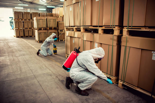 Best Termite Control Services  in Hallandale Beach, FL
