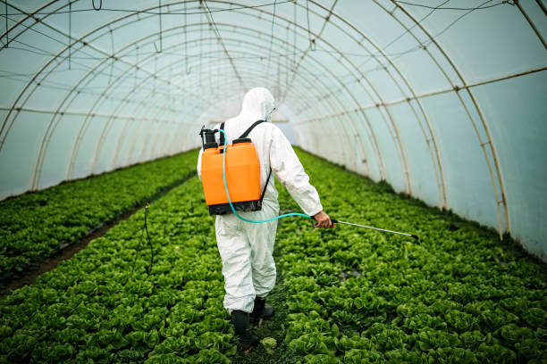 Best Mosquito Control Services  in Hallandale Beach, FL