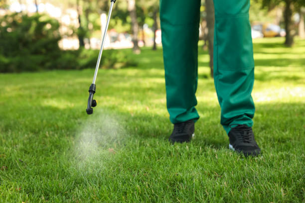 Professional Pest Control in Hallandale Beach, FL