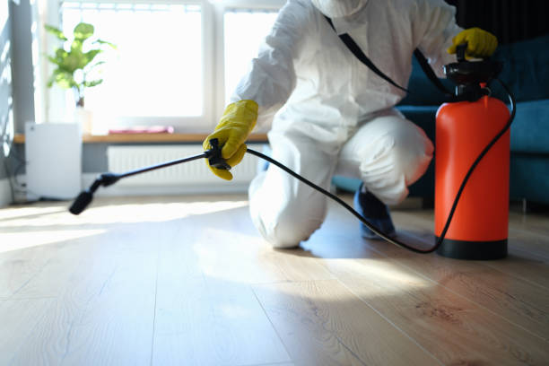 Reliable Hallandale Beach, FL Pest Control Solutions