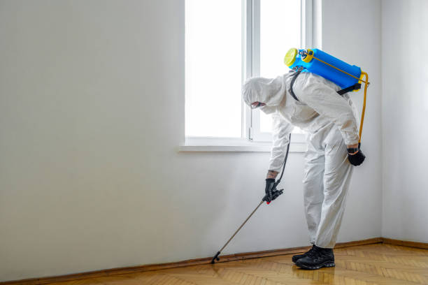 Hallandale Beach, FL Pest Control Pros