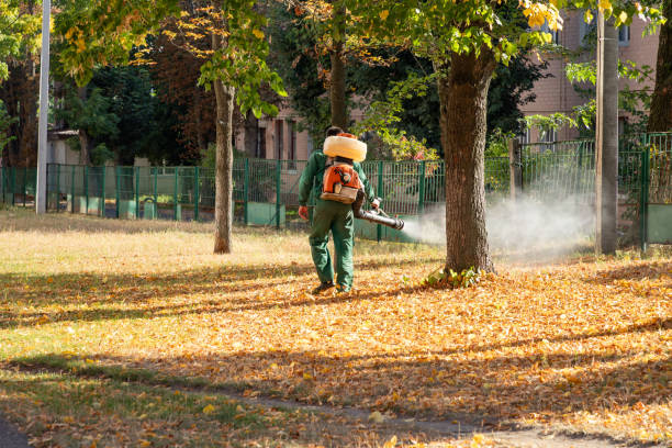 Best Pest Inspection Near Me  in Hallandale Beach, FL